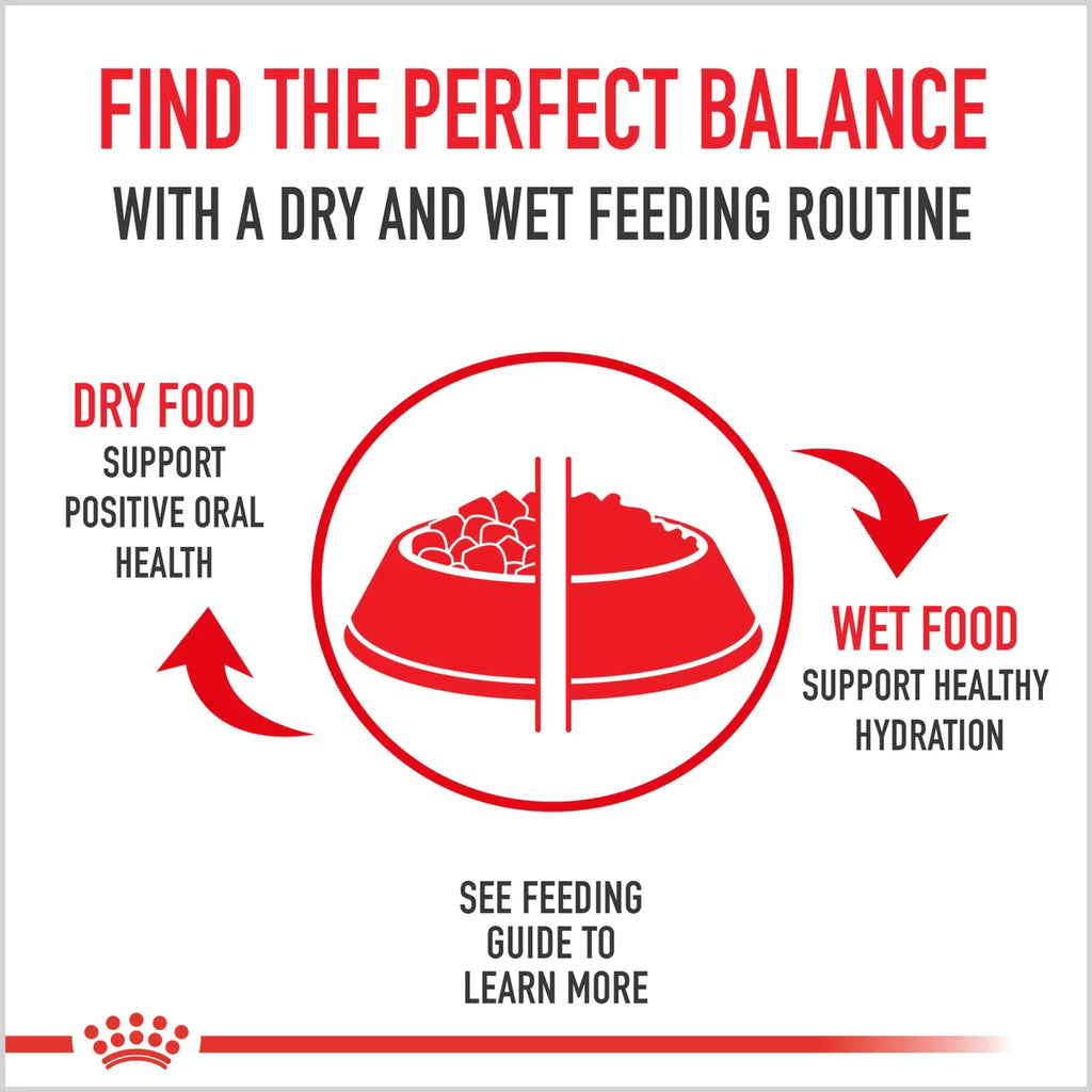 Royal Canin Feline Health Nutrition Indoor Long Hair
