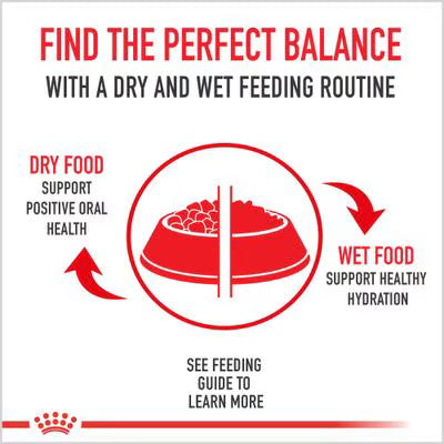 Royal Canin Feline Health Nutrition Indoor
