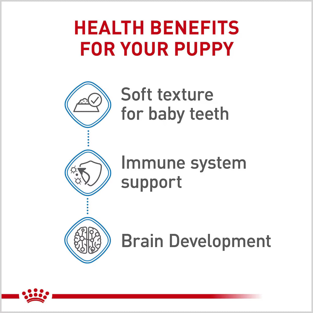 ROYAL CANIN XS PUP
