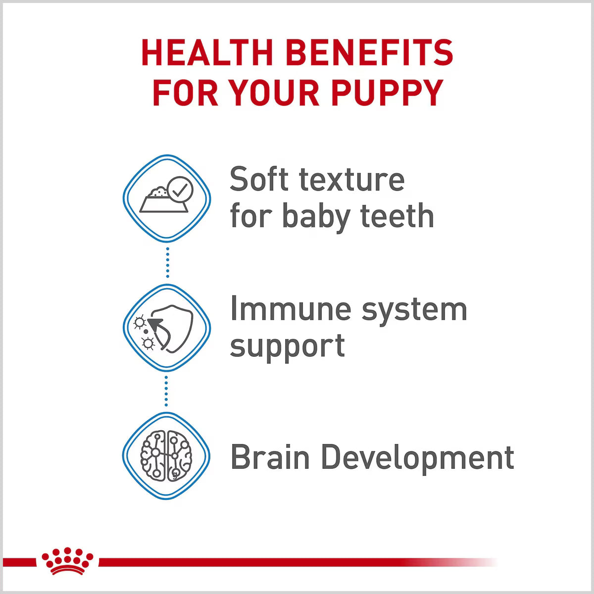 ROYAL CANIN LARGE PUP