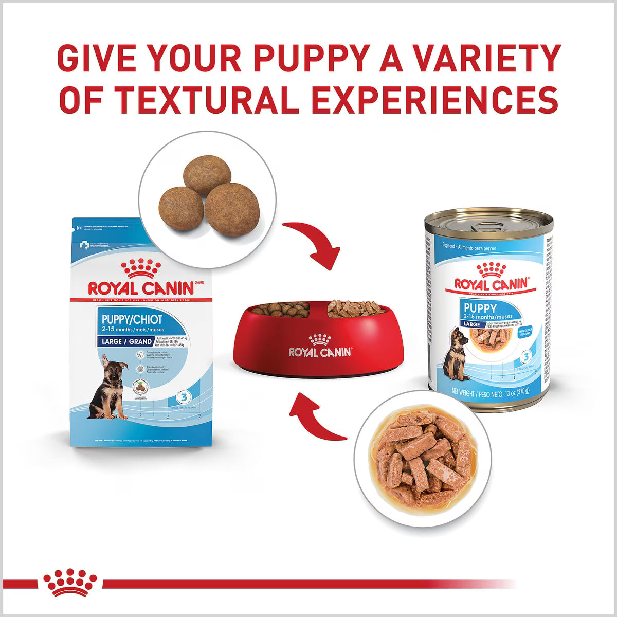 ROYAL CANIN LARGE PUP