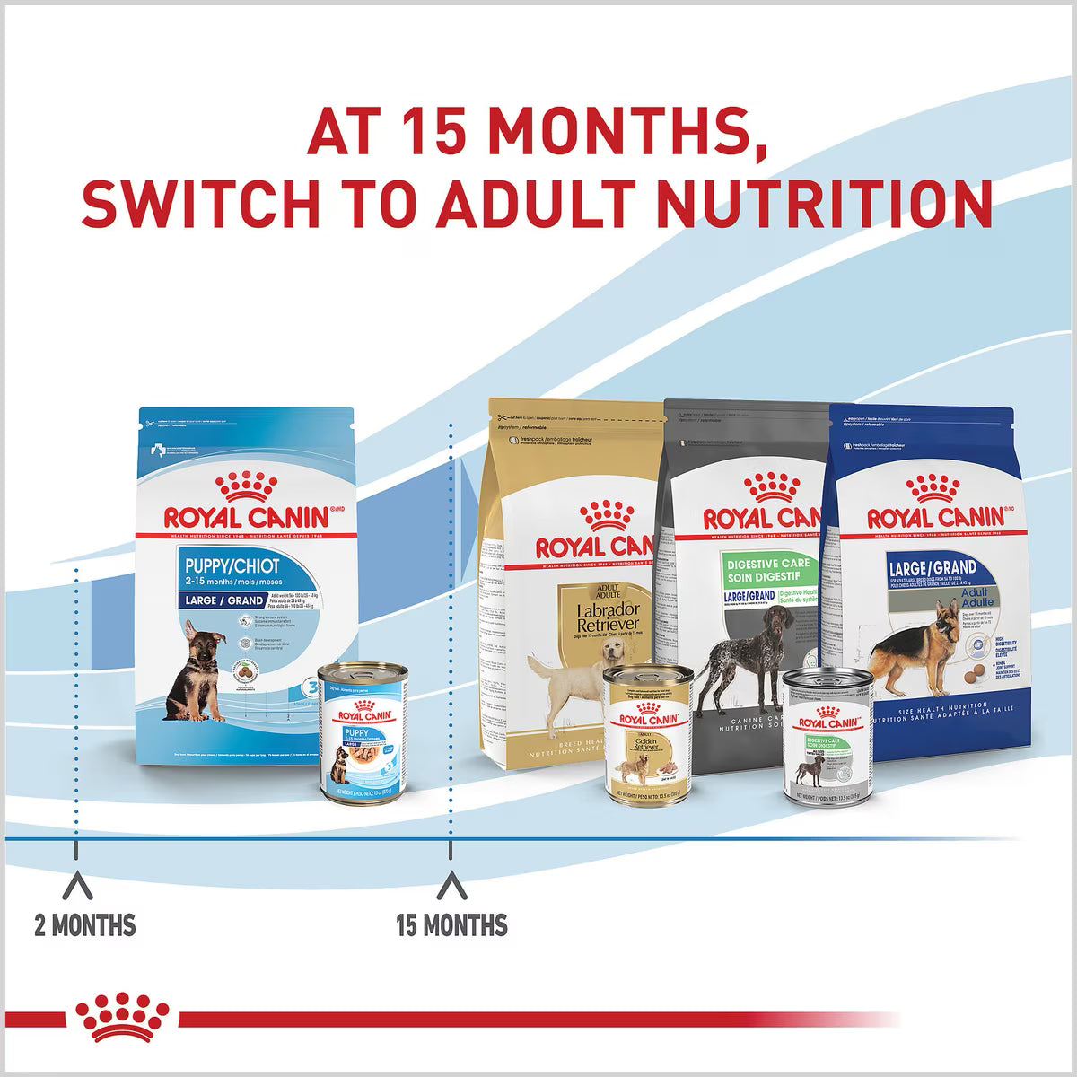 ROYAL CANIN LARGE PUP