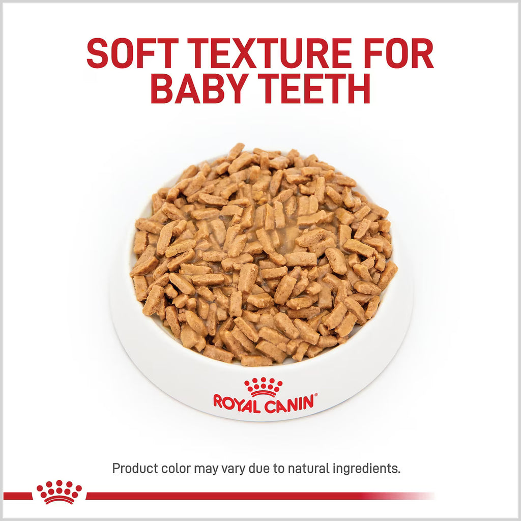 ROYAL CANIN LARGE PUP