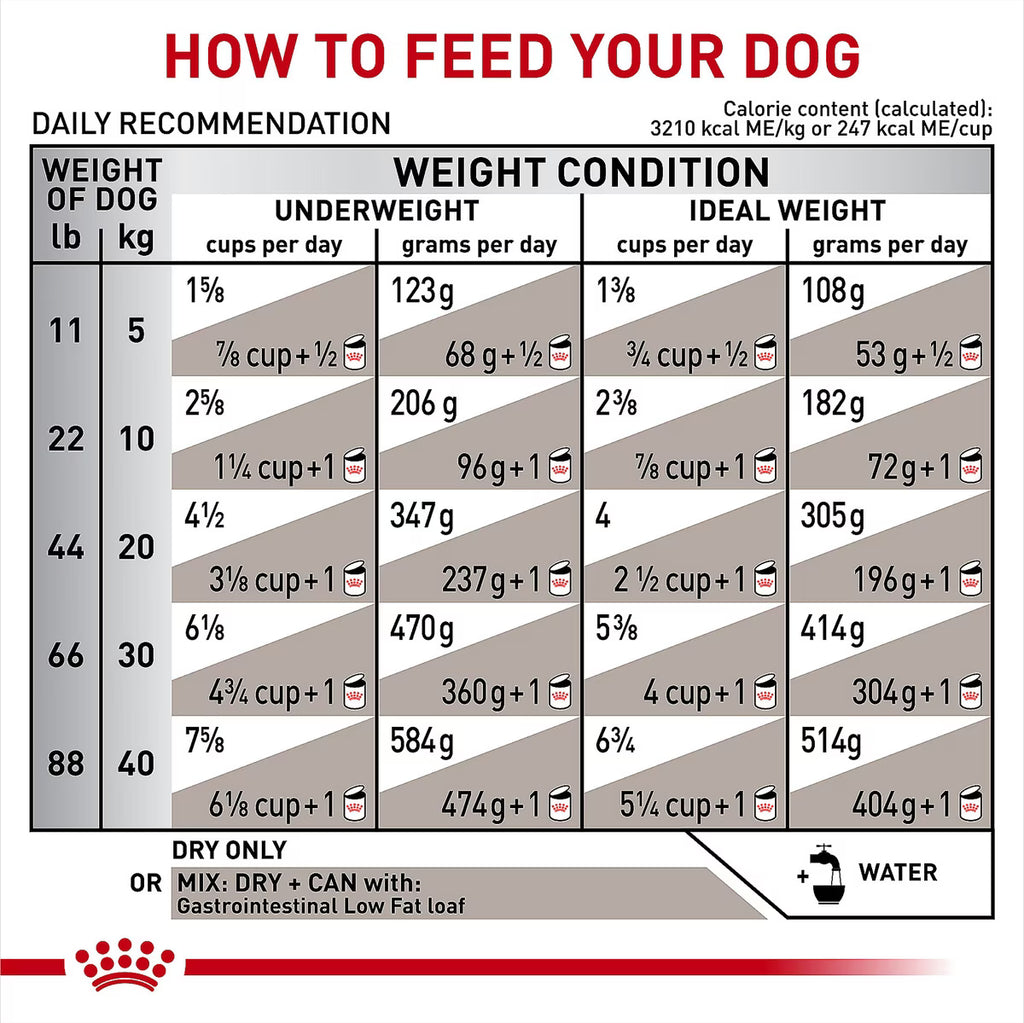 ROYAL CANIN GI ADULT