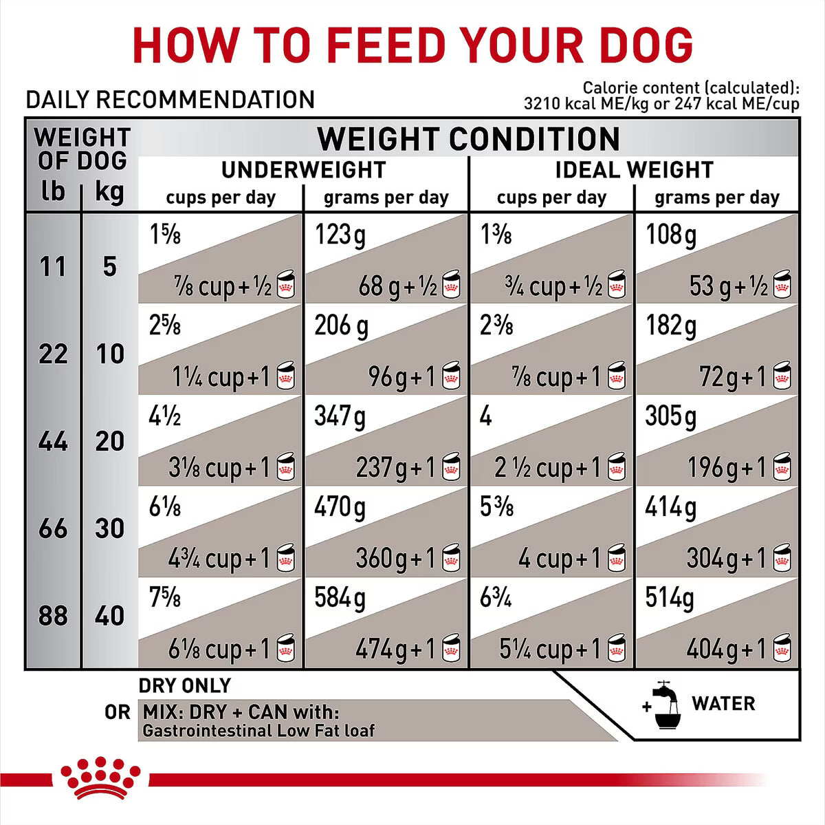 ROYAL CANIN GI ADULT
