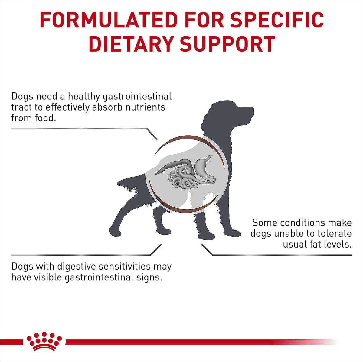 ROYAL CANIN GI ADULT