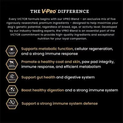 VICTOR Hi-Pro Plus Small & Medium Breed Puppy