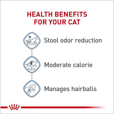 Royal Canin Feline Health Nutrition Indoor