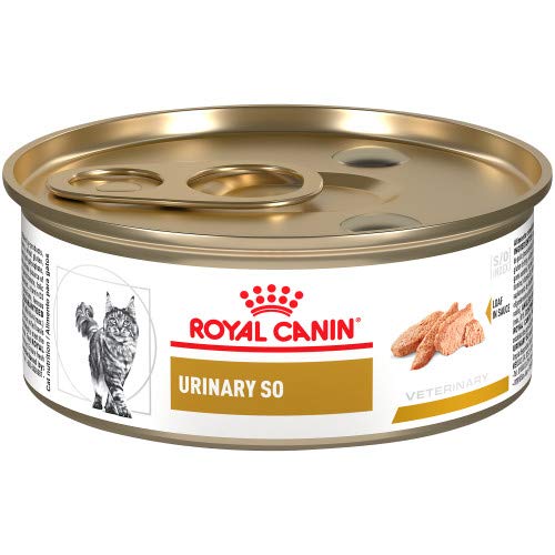 Royal Canin Feline Urinary SO Canned Cat Food
