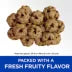Natural Fruity Crunchy Snacks with Apples & Oatmeal Dog Treats