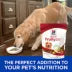 Natural Fruity Crunchy Snacks with Apples & Oatmeal Dog Treats