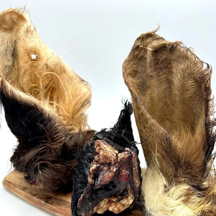 Beef Ears