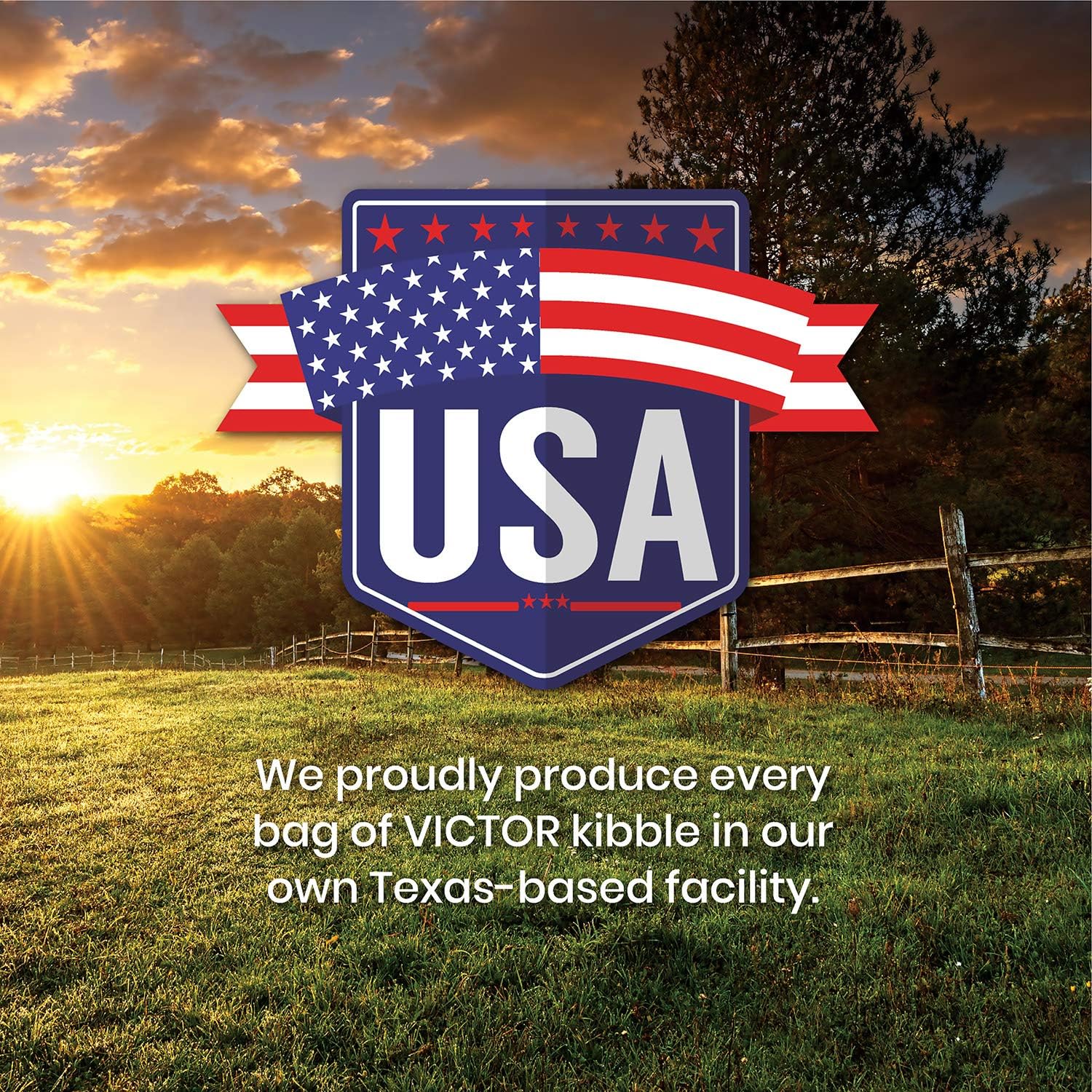 VICTOR Hi-Pro Plus Cat