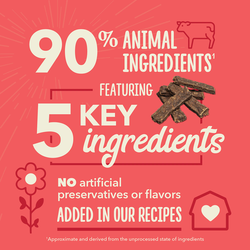 ACANA TREATS CHEWY STRIPS BEEF