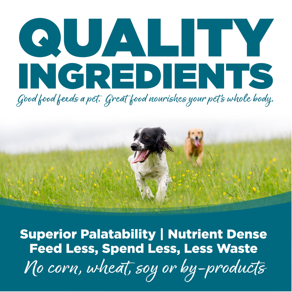 NUTRISOURCE DOG CHICKEN & RICE