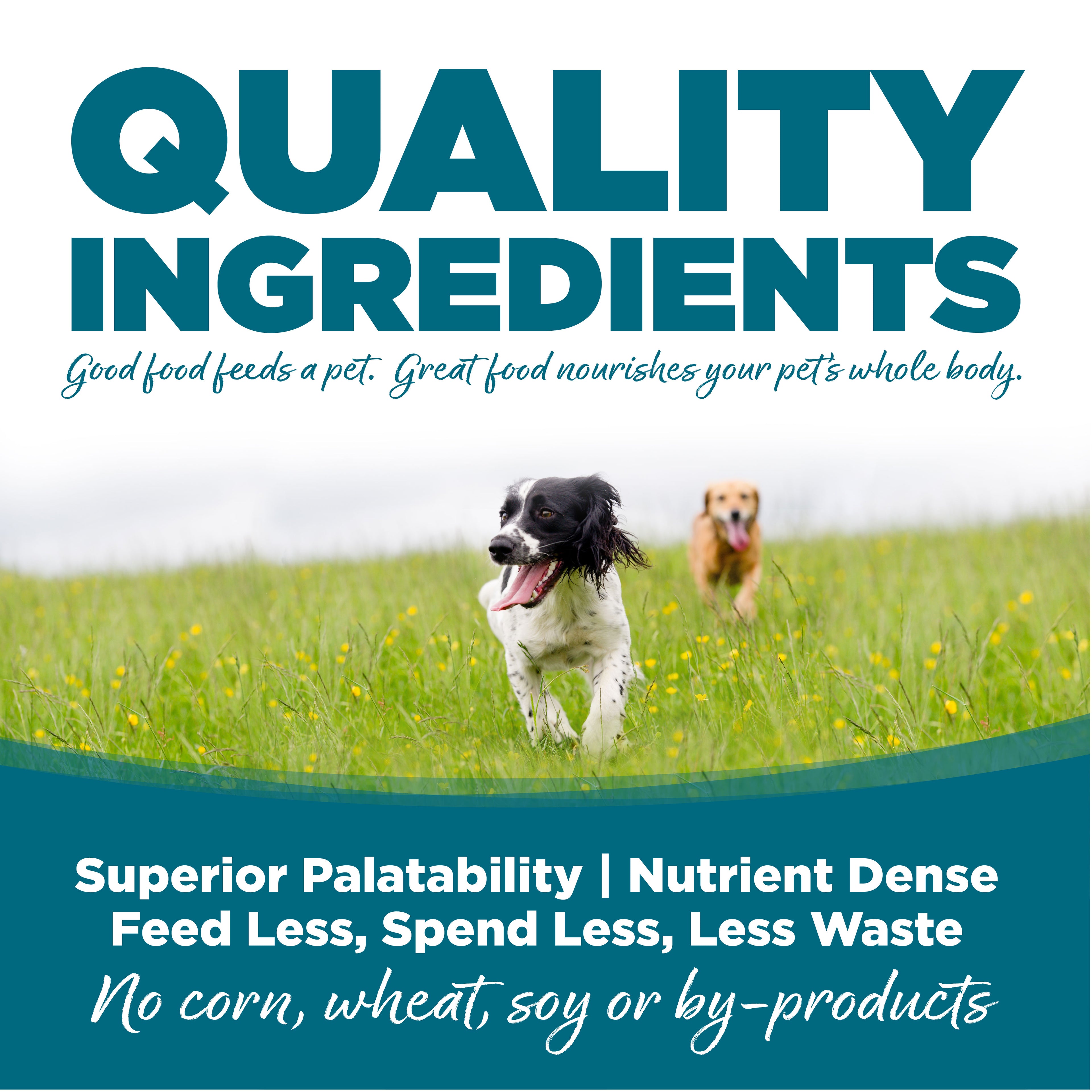 NUTRISOURCE DOG CHICKEN & RICE