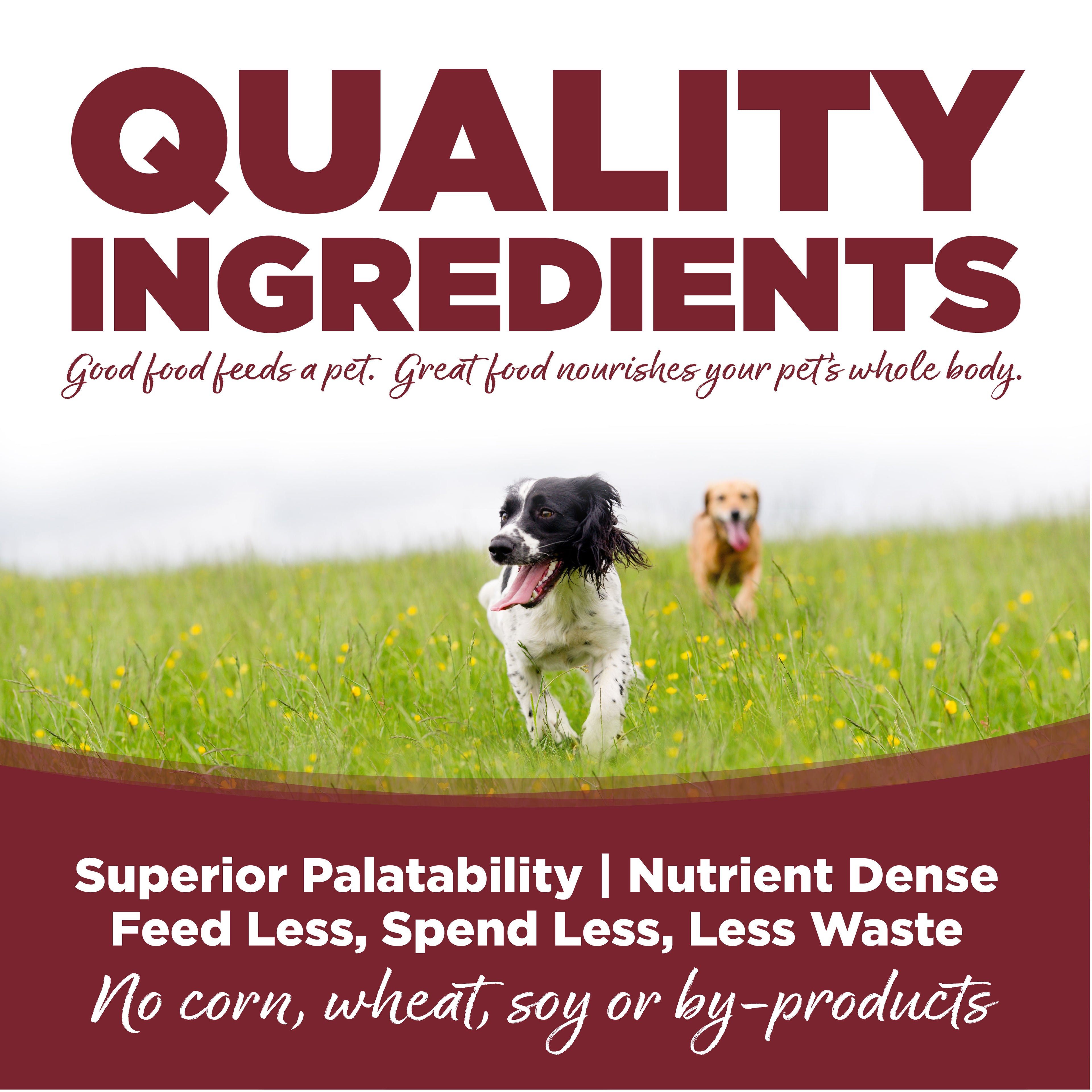 NUTRISOURCE DOG BEEF & BROWN RICE