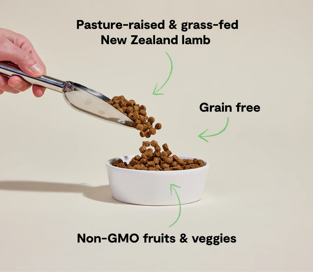 OPEN FARM Pasture-Raised Lamb Grain-Free Dog Kibble