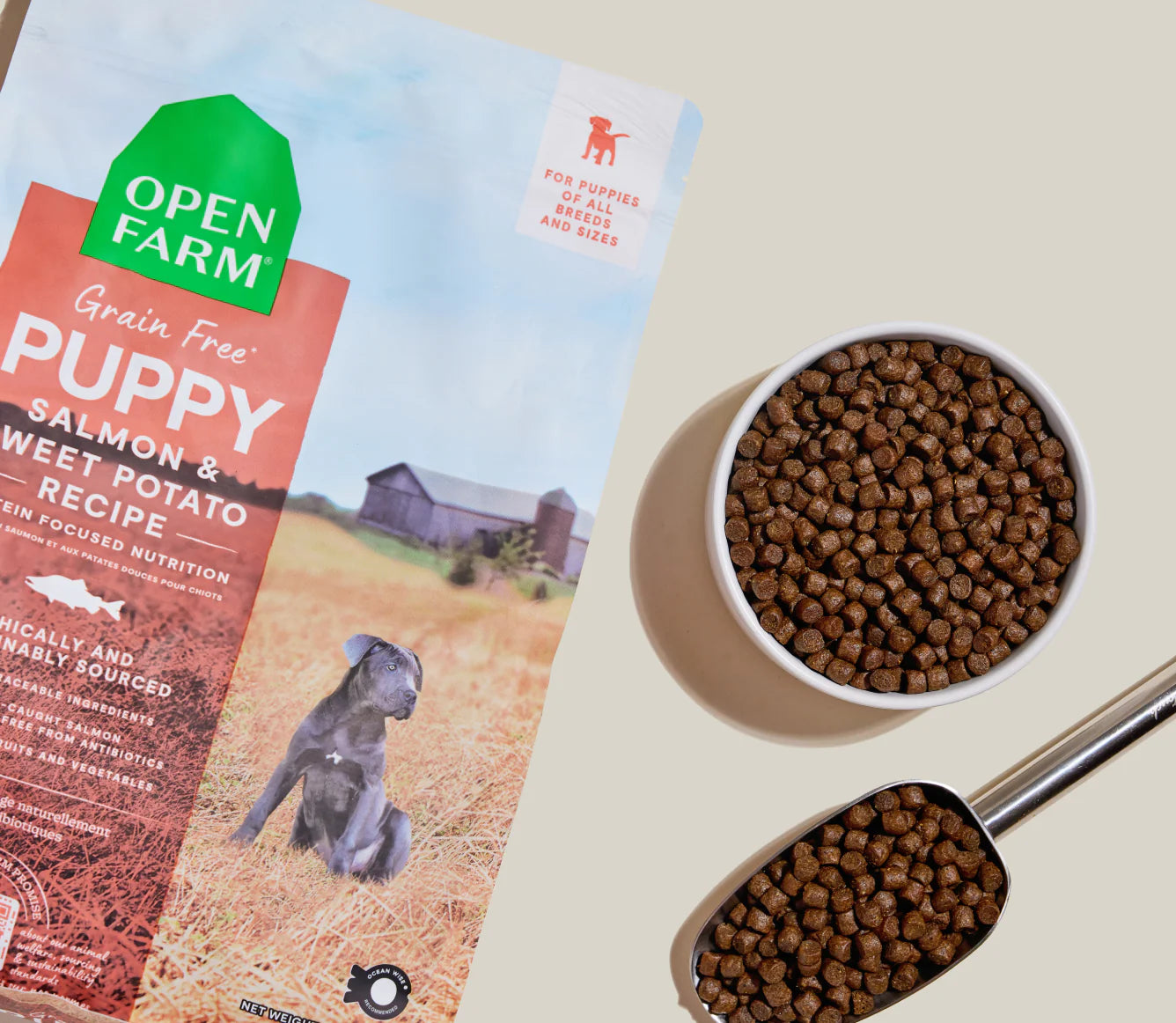 OPEN FARM Salmon Grain-Free Puppy Kibble