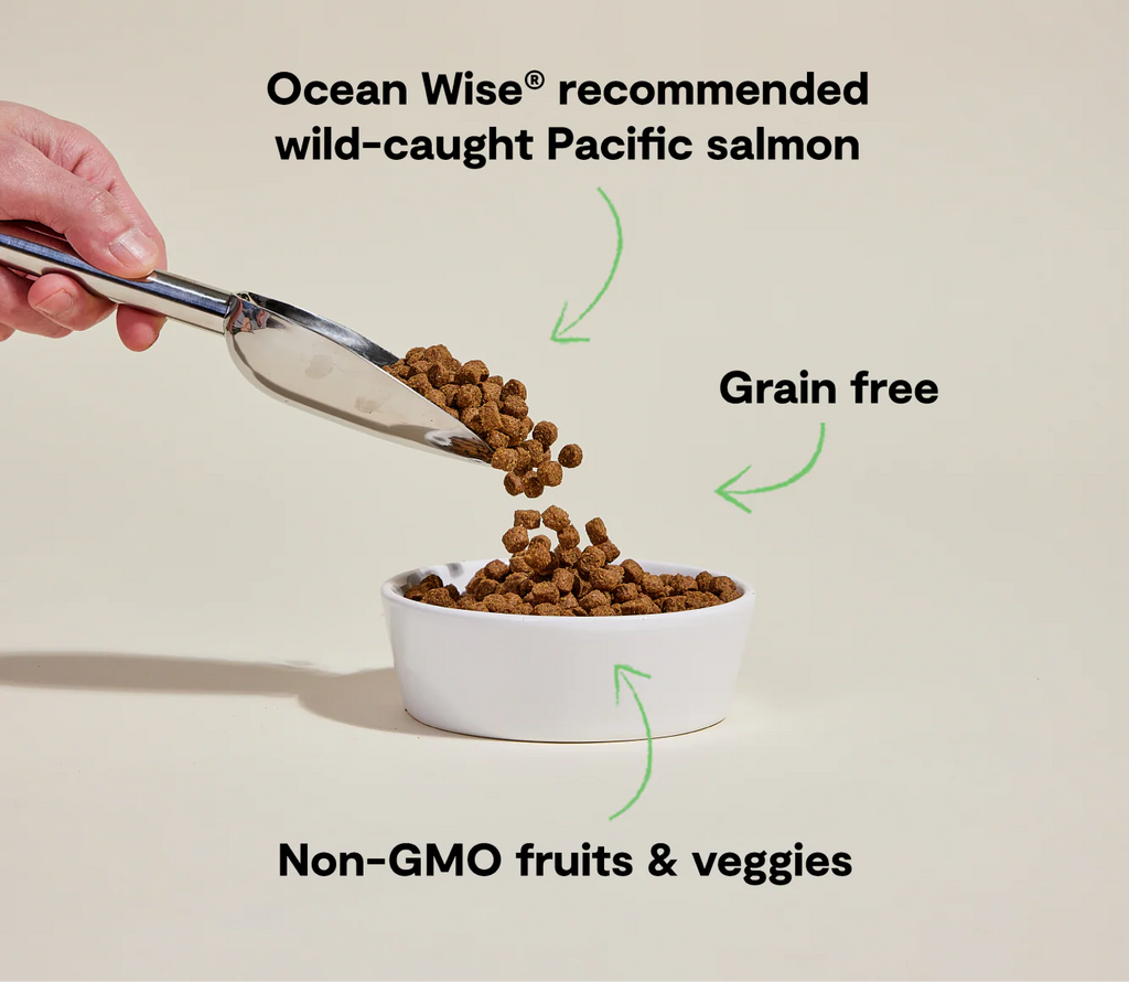 OPEN FARM Wild-Caught Salmon Grain-Free Dog Kibble