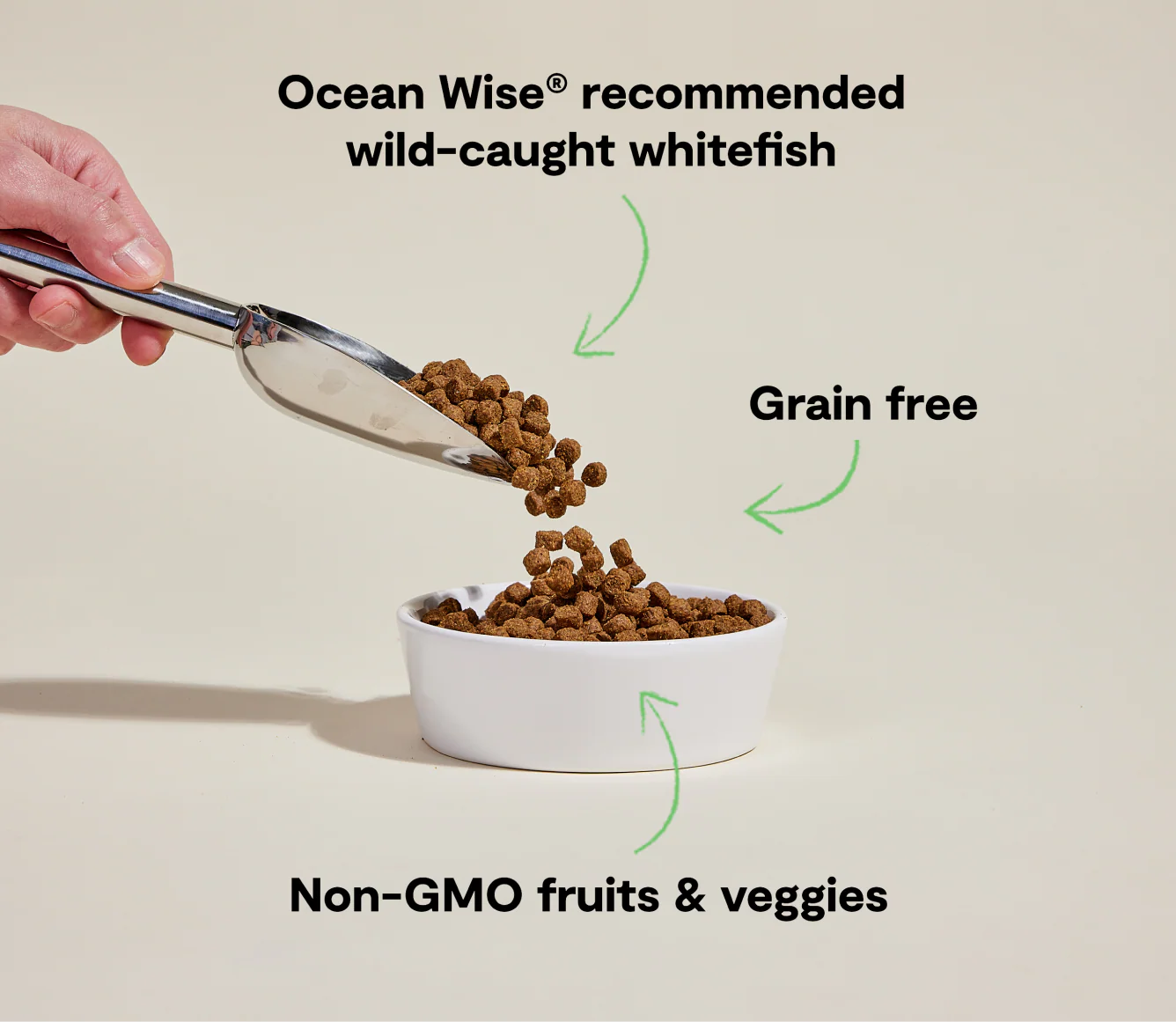 OPEN FARM Whitefish Grain-Free Dog Kibble