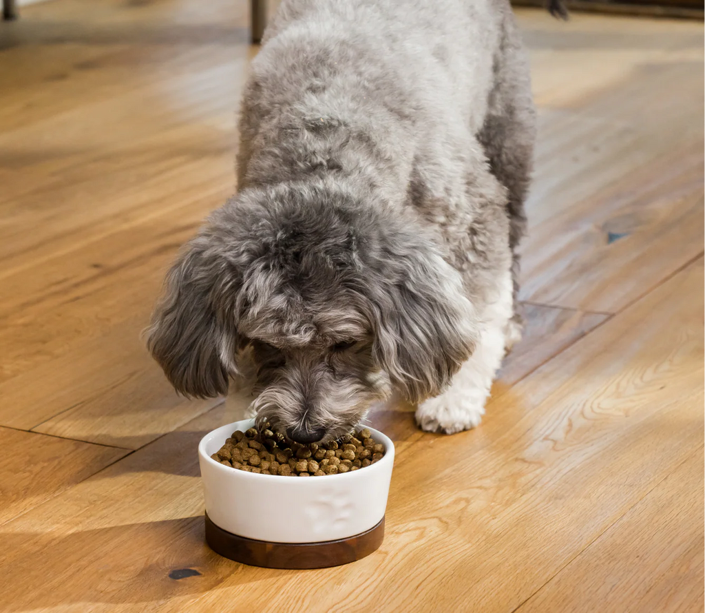 OPEN FARM Grass-Fed Beef Grain-Free Dog Kibble