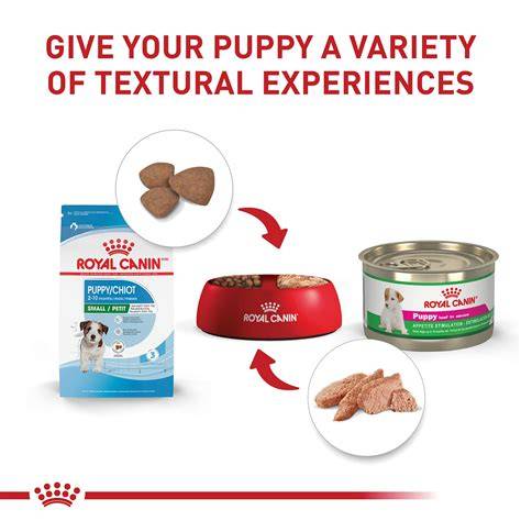 ROYAL CANIN SMALL PUPPY