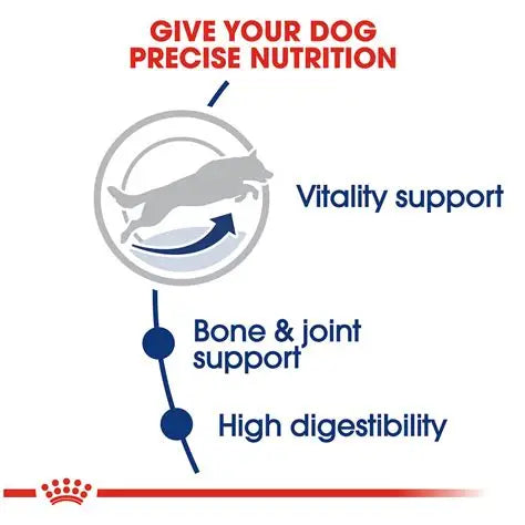 Royal Canin LARGE ADULT 30LBS