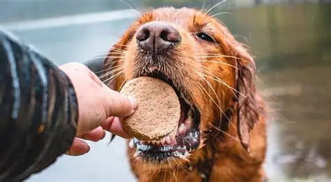 Duck Duck Goose Frozen Raw Dinner Patties for Dogs