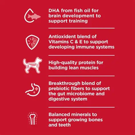 Hill's Science Diet Puppy Chicken & Barley