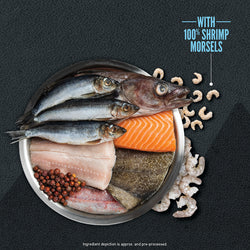 CPF ORIJEN CAT DRY WILD RESERVE FISH