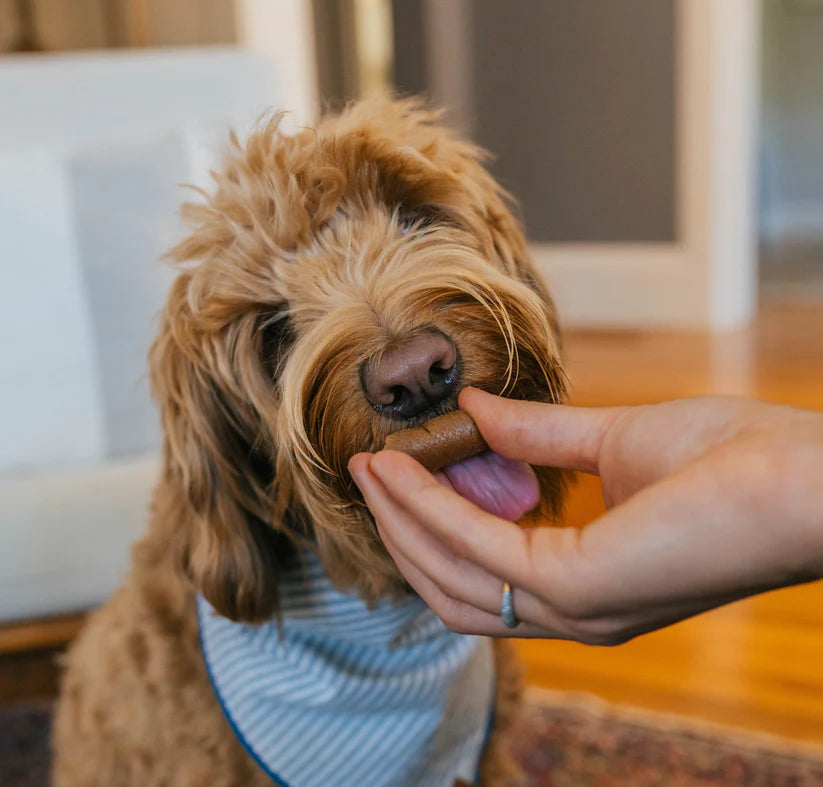 PILL BUDDY