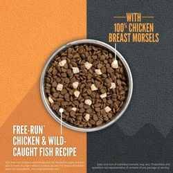 CPF ORIJEN CAT DRY WILD RESERVE CHICKEN/FISH