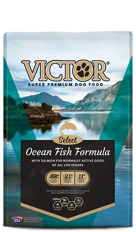 VICTOR Ocean Fish Formula with Salmon