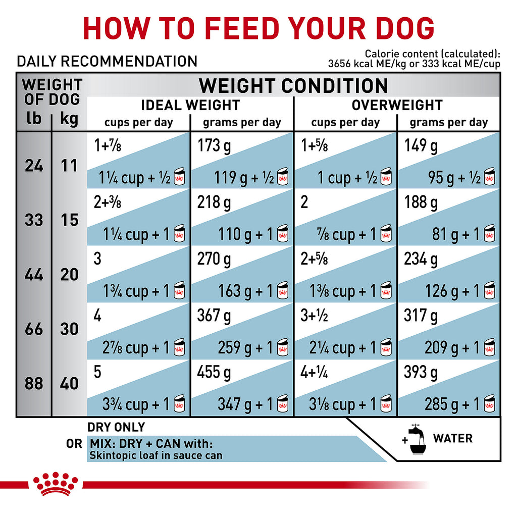 Royal Canin Skin topic Medium and Large Dog Adult Dry Dog Food
