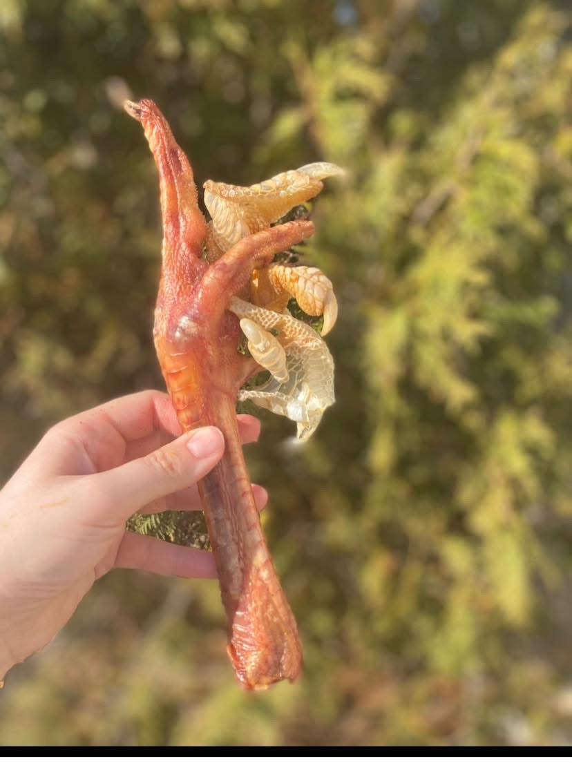 Turkey Foot