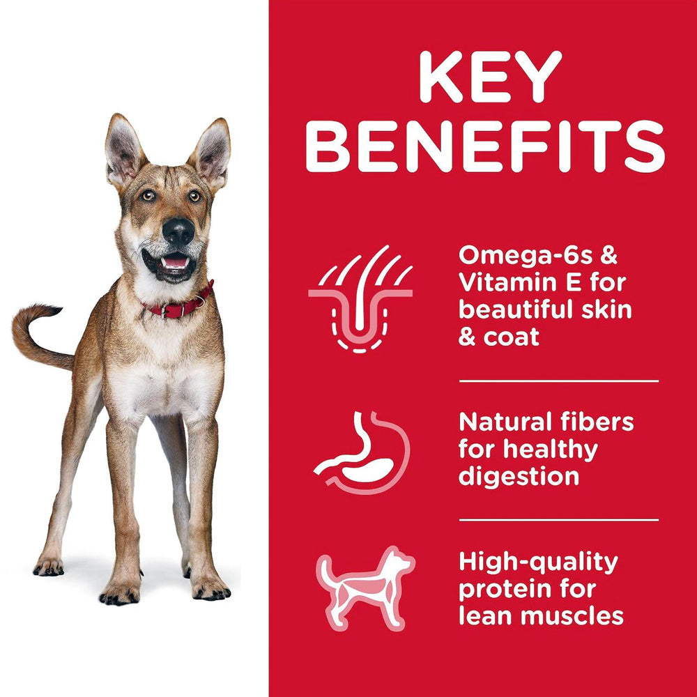 Hill's Science Diet Adult Chicken & Barley