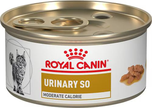 Royal Canin Feline Urinary SO Moderate Calorie canned cat food