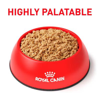Royal Canin Gastrointestinal Feline Loaf Canned