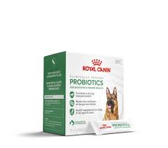 Royal Canin PROBIOTICS DOG