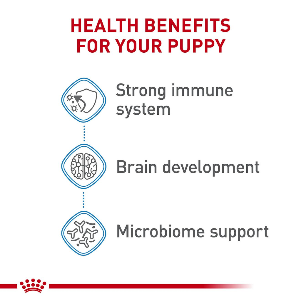 ROYAL CANIN LARGE PUPPY
