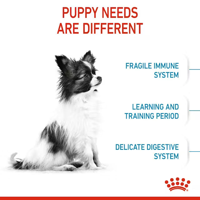 ROYAL CANIN XS PUPPY