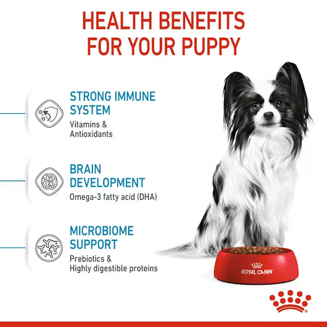ROYAL CANIN XS PUPPY